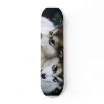 Dog Puppy Board