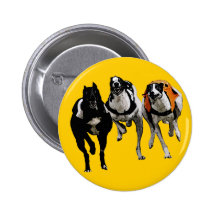 DOG RACE GREYHOUND BUTTONS