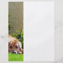 Dog Relaxing Full Color Flyer
