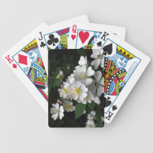 Dog Rose Card Decks