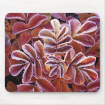Dog rose leaves covered with frost mouse mat