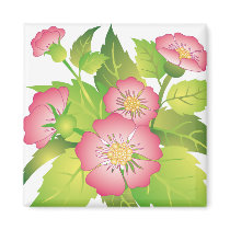 dog roses_white magnets