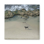 Dog running on a sandy beach refrigerator magnet