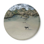 Dog running on a sandy beach fridge magnets