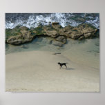Dog running on a sandy beach poster