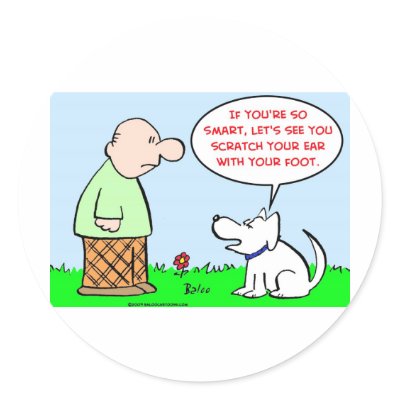 dog scratch ear foot smart stickers by rexfmay