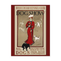 Dog Show Postcard