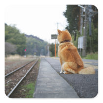 Dog sitting on train station stickers