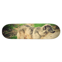 Dog Skateboard Decks