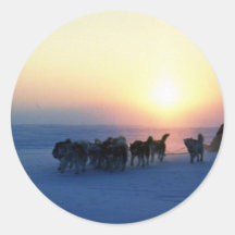 Dog sled travel at 45 degrees Celsius, Baffin Isla Stickers