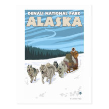 Dog Sledding Scene - Denali Nat'l Park, Alaska Post Card