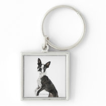 dog standing on 2 legs looking at camera key chains