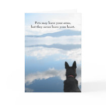 Dog Sympathy - Pets May Leave Your Arms Greeting Card