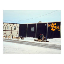 Dog team at the bay, Churchill, Manitoba Postcards