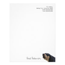 Dog trainer letterhead