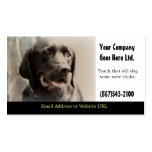 Dog Training Services Business Card