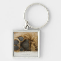 Dog, view of leg keychains