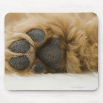 Dog, view of leg mousepad