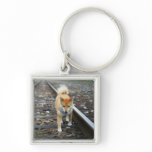 Dog walking track key chains