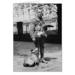 Dog Wearing a Coat, 1920s Cards