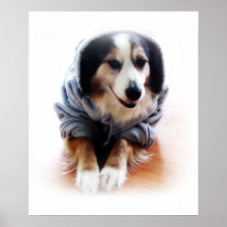 Dog Wearing a Hoodie Sweatshirt