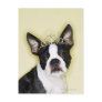 Dog wearing tiara postcards