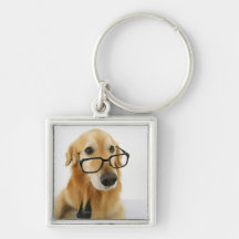 Dog wearing  tie and glasses sitting on chair in key chains