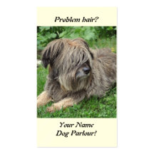 Dog with hair over it's eyes business cards