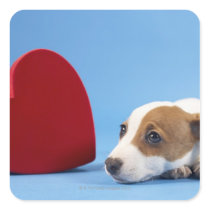 Dog with heart square stickers