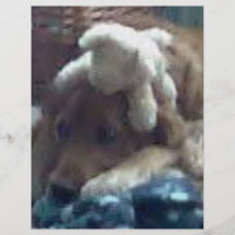 dog with teddys custom flyer