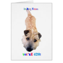 Dog Years You're 420