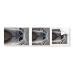 Doggennase Bumper Sticker