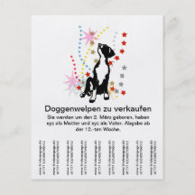 Doggenwelpen zu verkaufen?