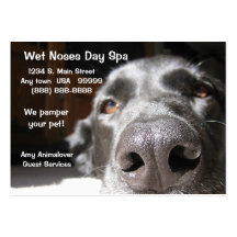 Doggie Spa Business And Appointment Card Business Card