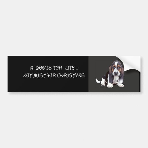 doggy bumper sticker