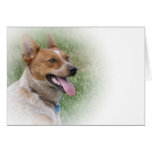 Doggy Greetings Greeting Card
