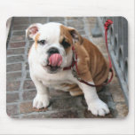 doggy kisses mouse pad
