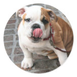 Doggy Kisses Sticker