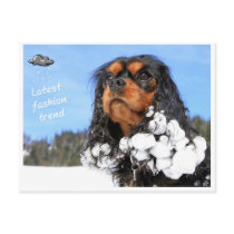 Doggy - latest winter fashion trend postkarte