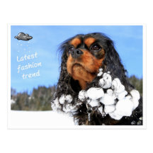 Doggy - latest winter fashion trend postkarte