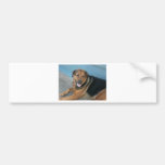 Doggy pose bumper sticker