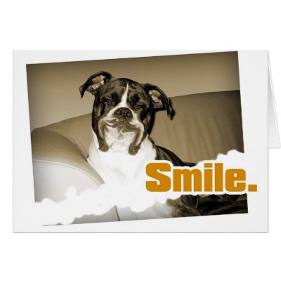 Doggy Smile Card by boondog