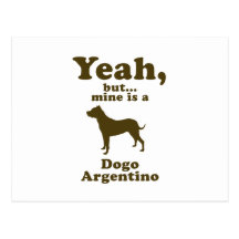 Dogo Argentino Post Cards