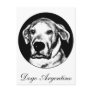 Dogo argentino postcard