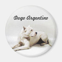 dogo, Dogo Argentino Magnet