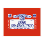 Dogo Guatemalteco Post Card