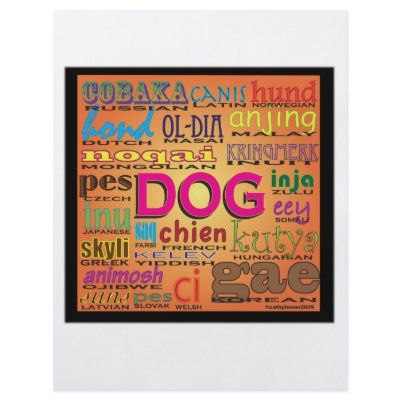 Dogs all over the world flyer by cathylester