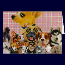 Dogs are Fun cards