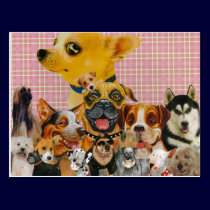 Dogs are Fun postcards