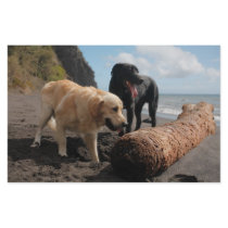 Dogs at the beach stationery design